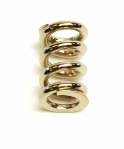 Racers Edge Slipper Clutch Spring