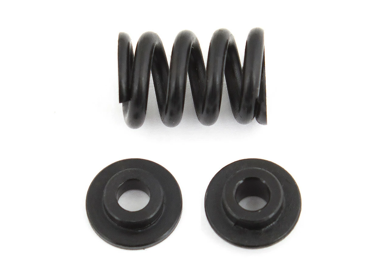 Team Associated 91801 B6.1/B6.1D Slipper Spring Set