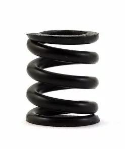 Team Associated 9739 Slipper Spring, DR10
